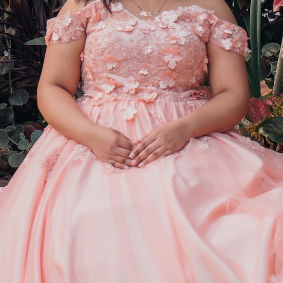 Quinceañera Dress- Formal gown-Blush Pink-PETTICOAT INCLUDED - Picture 7 of 7